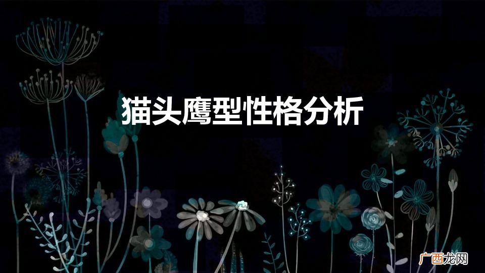 猫头鹰性格是什么样的 猫头鹰型性格分析
