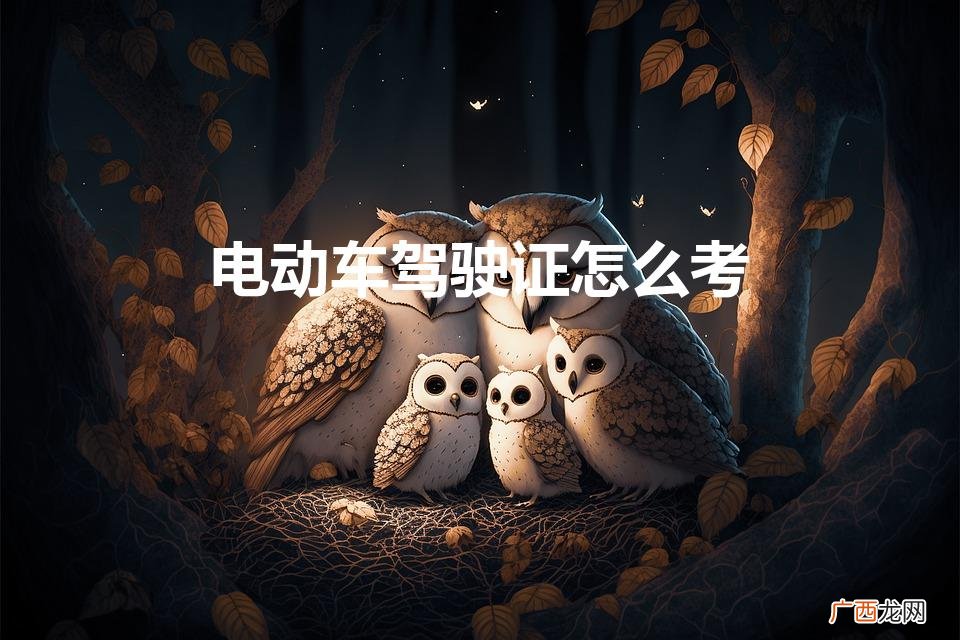电动车驾驶证怎么考科目一 电动车驾驶证怎么考