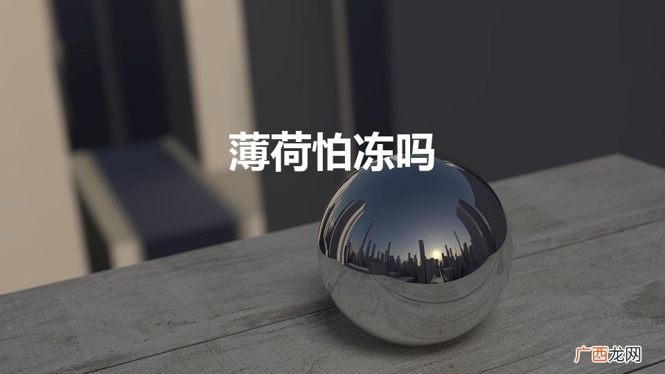 薄荷怕冻吗（薄荷冬天怕冻吗?)