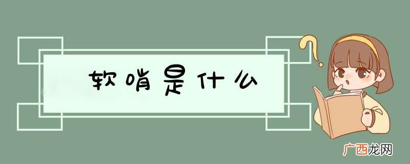 软哨是什么