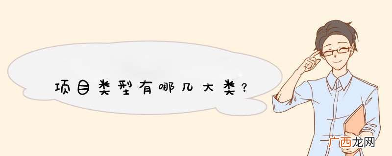 项目类型有哪几大类？