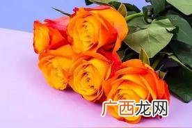 一个女人说封心锁爱的含义 从此封心锁爱什么意思