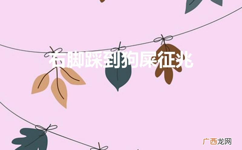 右脚踩到狗屎征兆意味着什么寓意 右脚踩到狗屎征兆