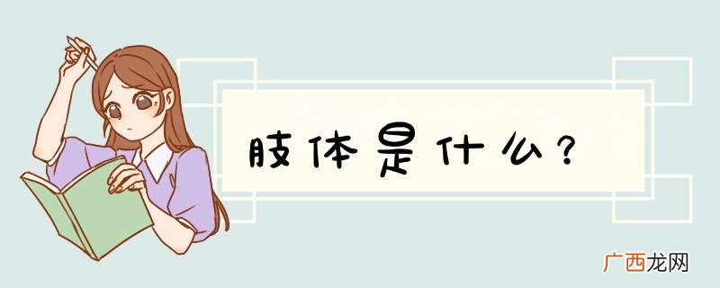 肢体是什么？