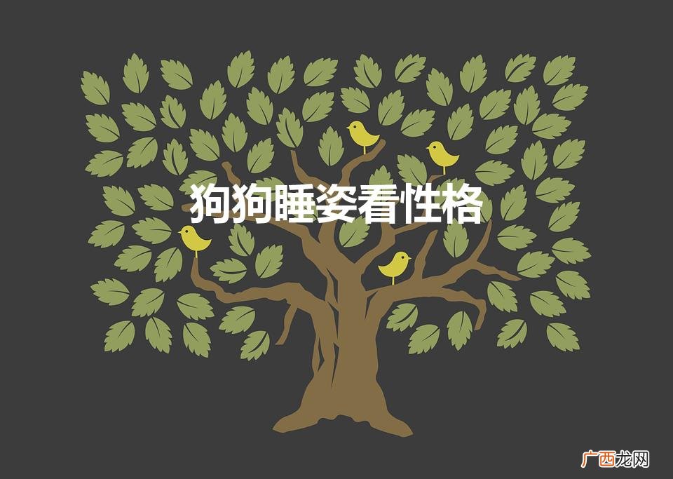 狗睡姿揭秘性格 狗狗睡姿看性格