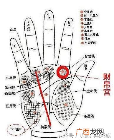 财帛宫丰满突起，注定是富贵有福之人 财帛宫看一生财富