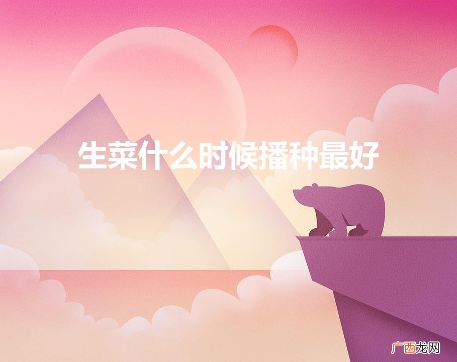 生菜种植时间,什么时候都可以种吗 生菜什么时候播种最好