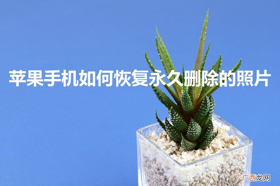 苹果照片永久删除恢复 苹果手机如何恢复永久删除的照片