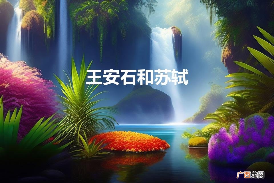 王安石和苏轼（王安石和苏轼的关系如何)