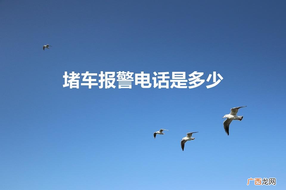 高速堵车了打什么电话可以解决 堵车报警电话是多少