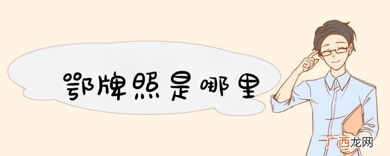 鄂牌照是哪里