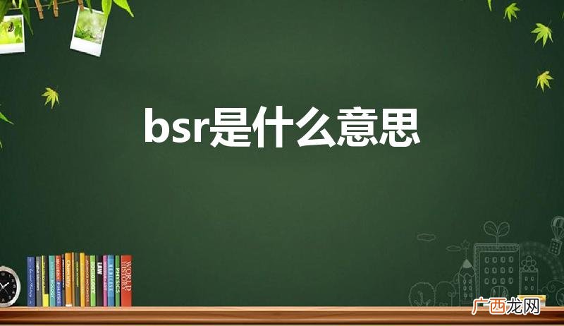 BSR是什么意思 bsr是什么意思