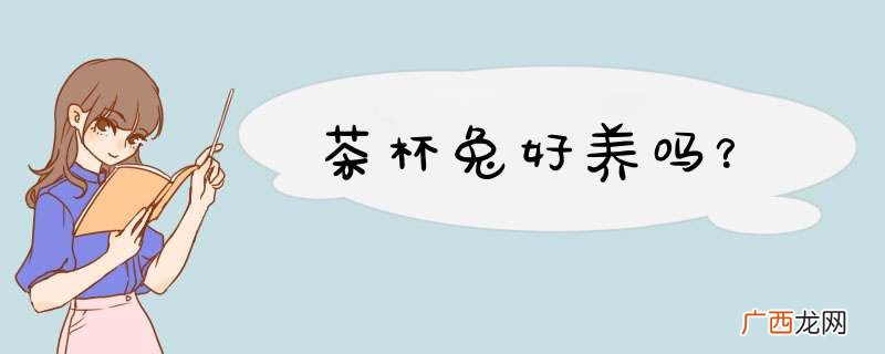茶杯兔好养吗？