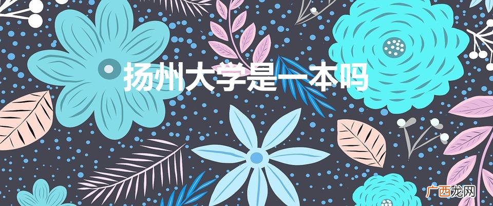 扬州大学是几本 扬州大学是一本吗