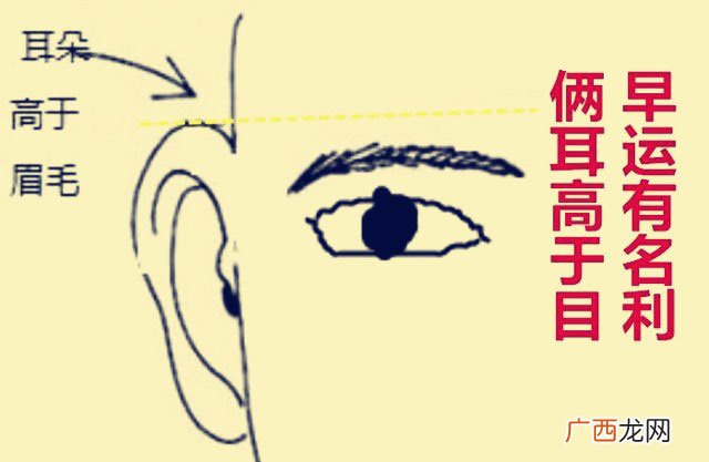 耳朵低于眼睛面相怎么样,命运好不好