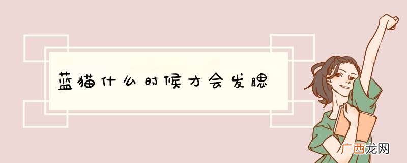 蓝猫什么时候才会发腮