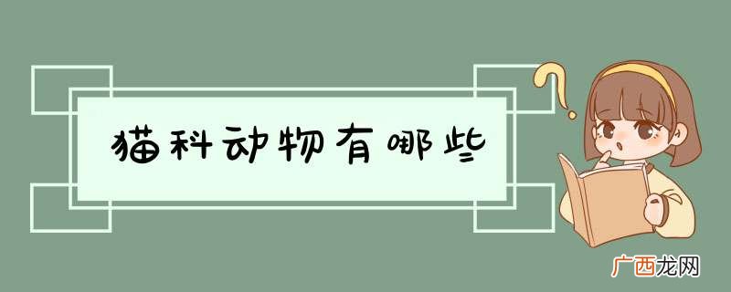 猫科动物有哪些