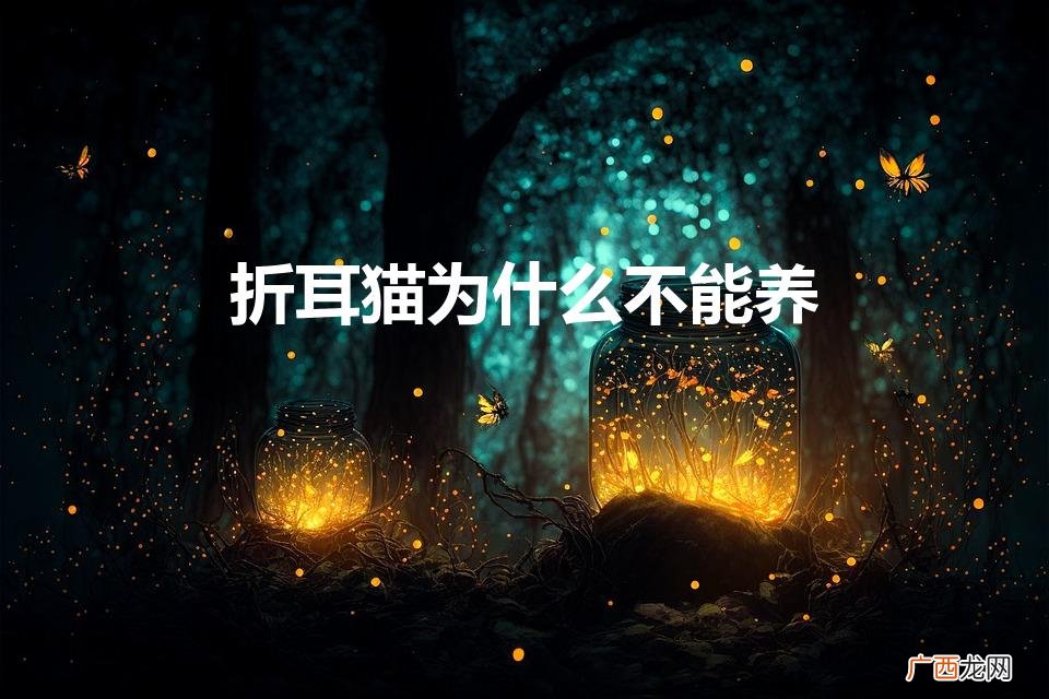 为什么说不要养折耳猫 折耳猫为什么不能养