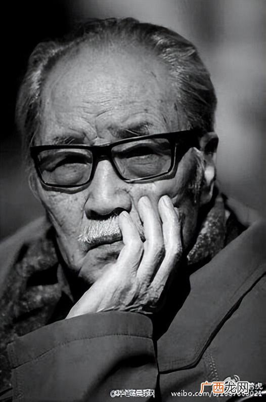《决裂》主要讲述的故事内容 马尾巴的功能是什么电影