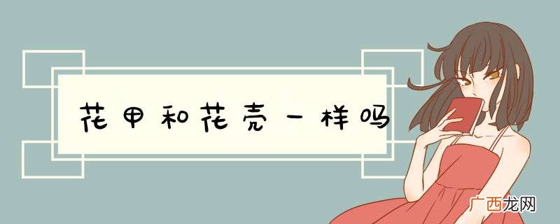 花甲和花壳一样吗