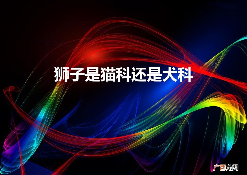 狮子是猫科还是犬科（犬科动物有哪些)
