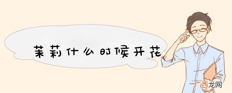 茉莉什么时候开花