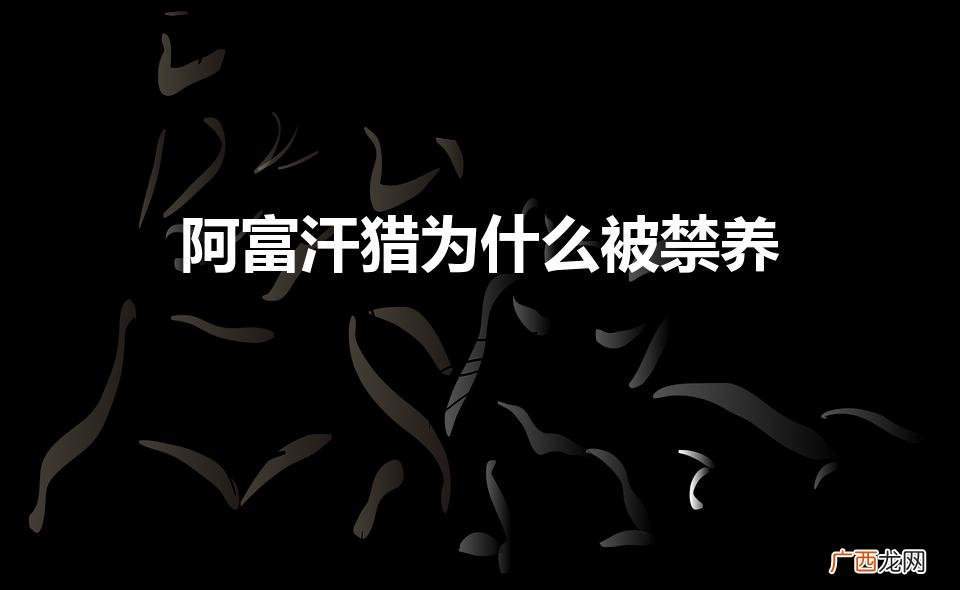阿富汗猎为什么被禁养(为什么阿富汗猎犬被禁养)