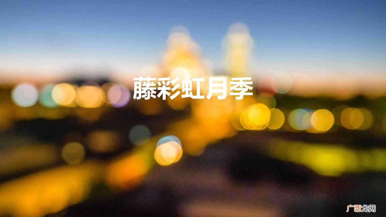 有种月季花叫“藤彩虹” 藤彩虹月季