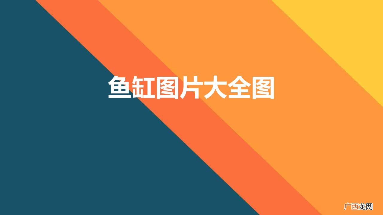 鱼缸图片大全图