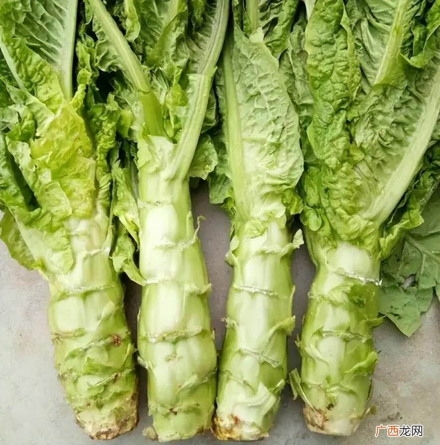 贡菜和莴笋是一种菜吗 贡菜和莴笋的区别图片