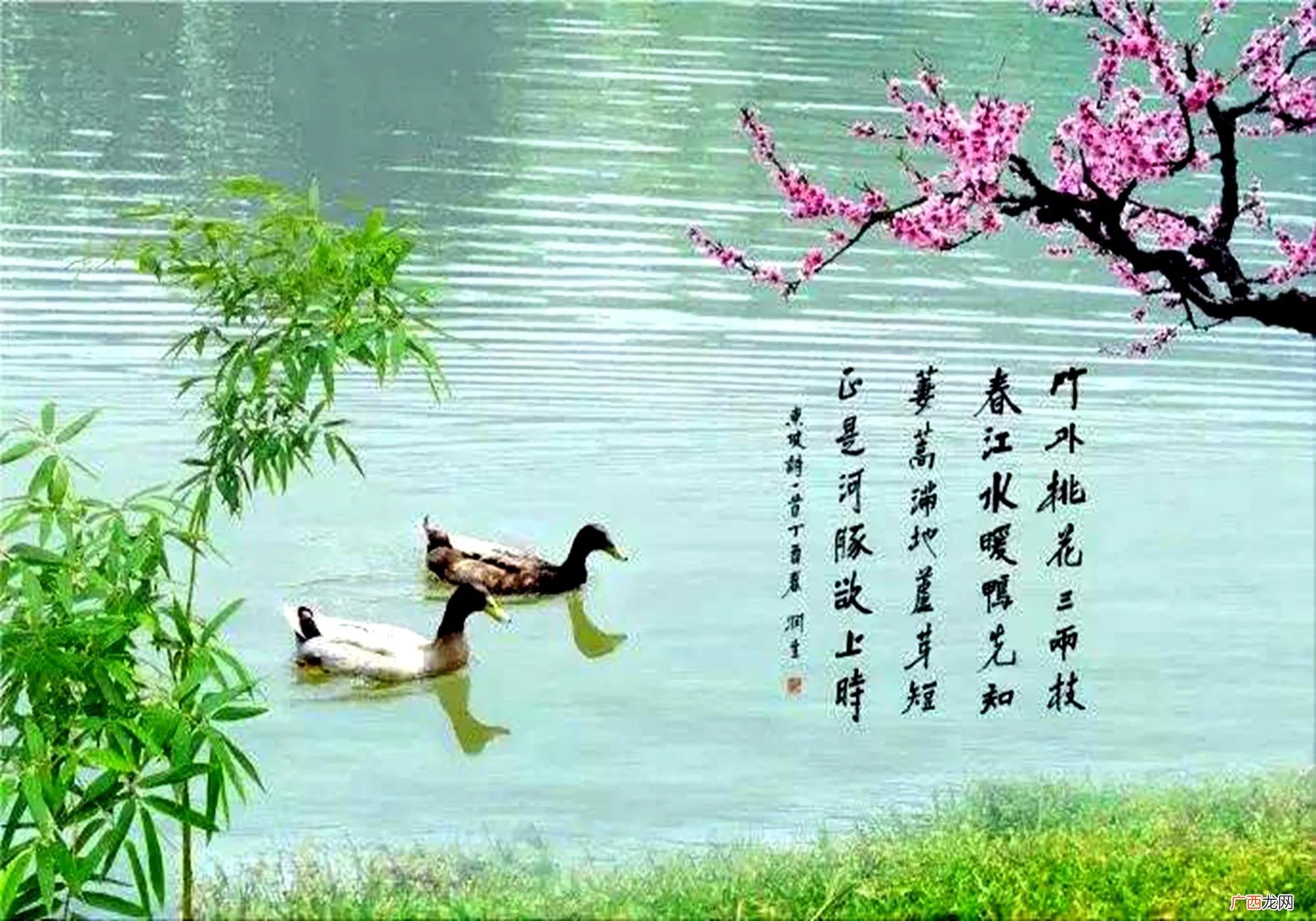 全诗苏轼所描写的景物 春江晚景惠崇古诗的意思