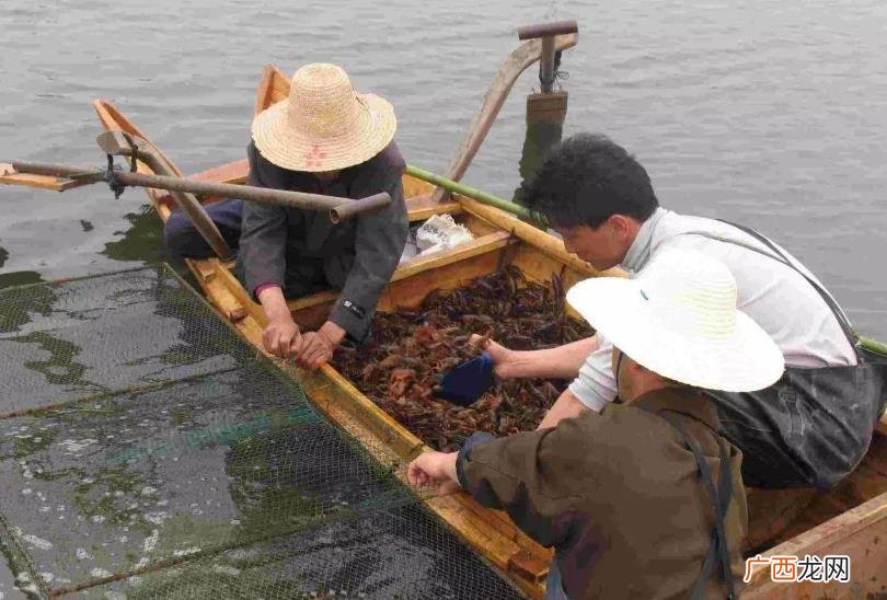 全国小龙虾最有名的产地 小龙虾产地最多的地方是哪里