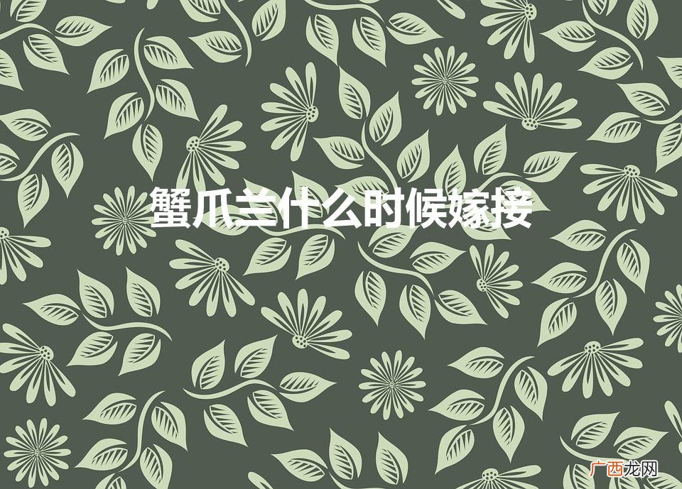 蟹爪兰什么时候嫁接（蟹爪兰什么时候嫁接最好)