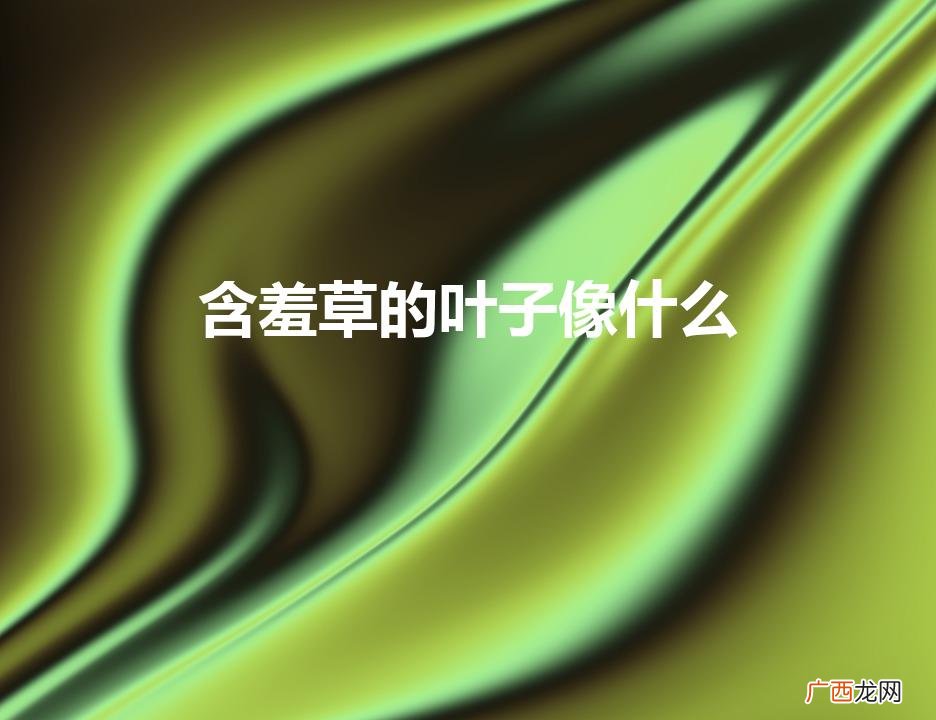 含羞草的叶子像什么(含羞草是一种什么样的植物)