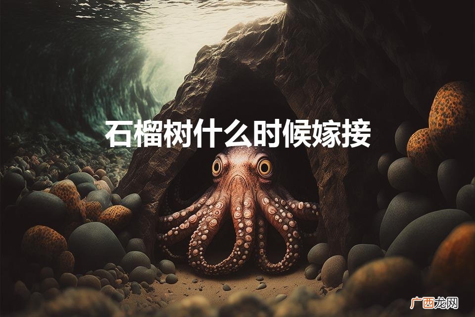 石榴树什么时候嫁接(石榴嫁接时间和方法)