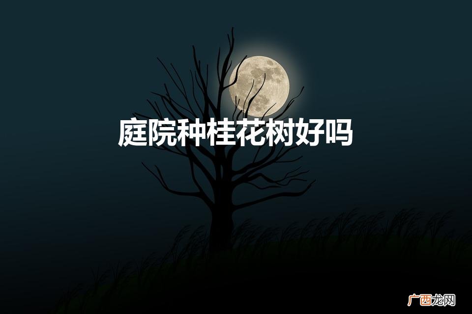 庭院种桂花树好吗（为什么院子里忌讳种桂花树)
