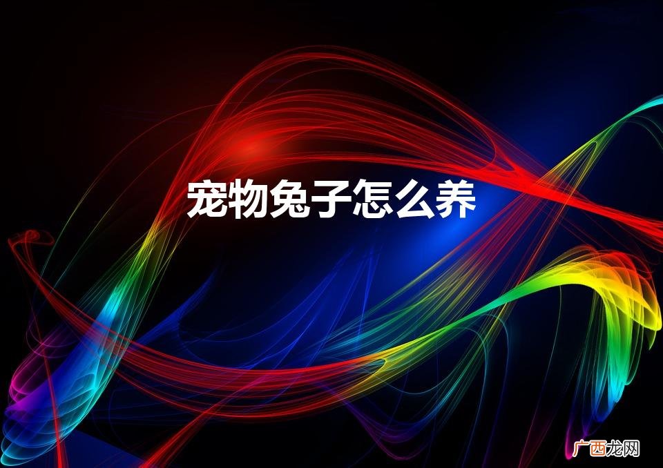 宠物兔子怎么养(兔子好不好养)