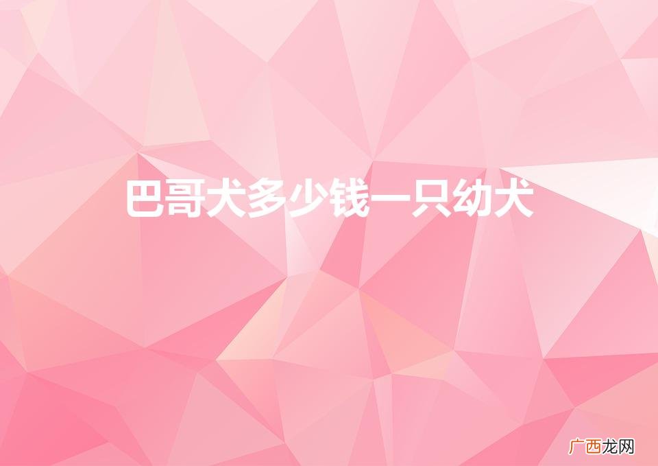 巴哥犬多少钱一只幼犬（巴哥犬多少钱一只幼犬2022)