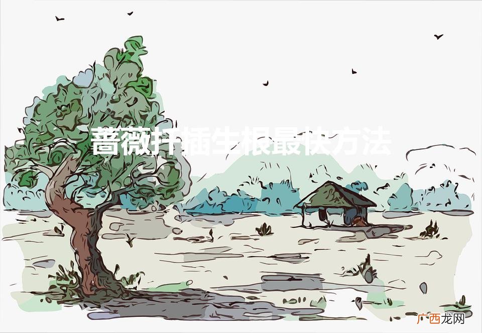 蔷薇扦插生根最快方法（蔷薇扦插多久生根发芽)