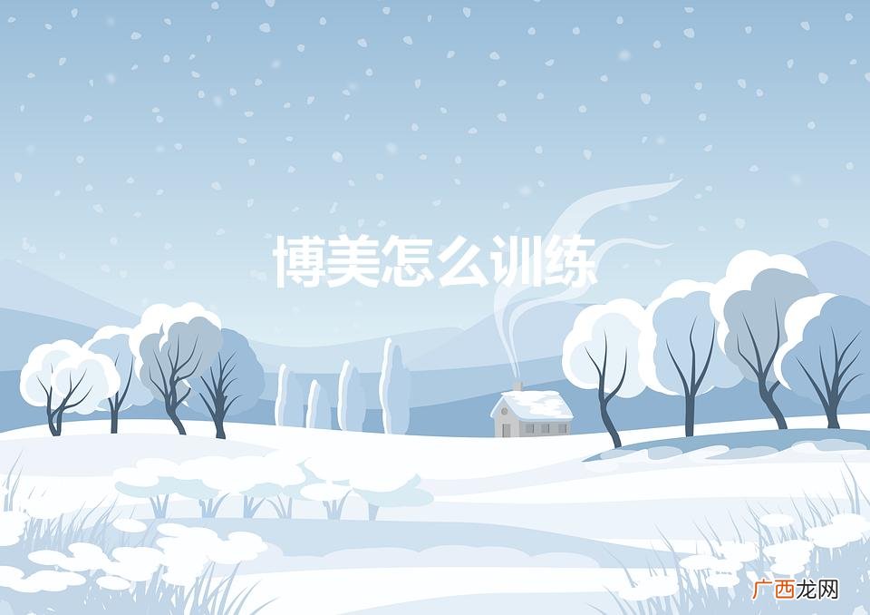 博美怎么训练(博美怎么训练才听话)