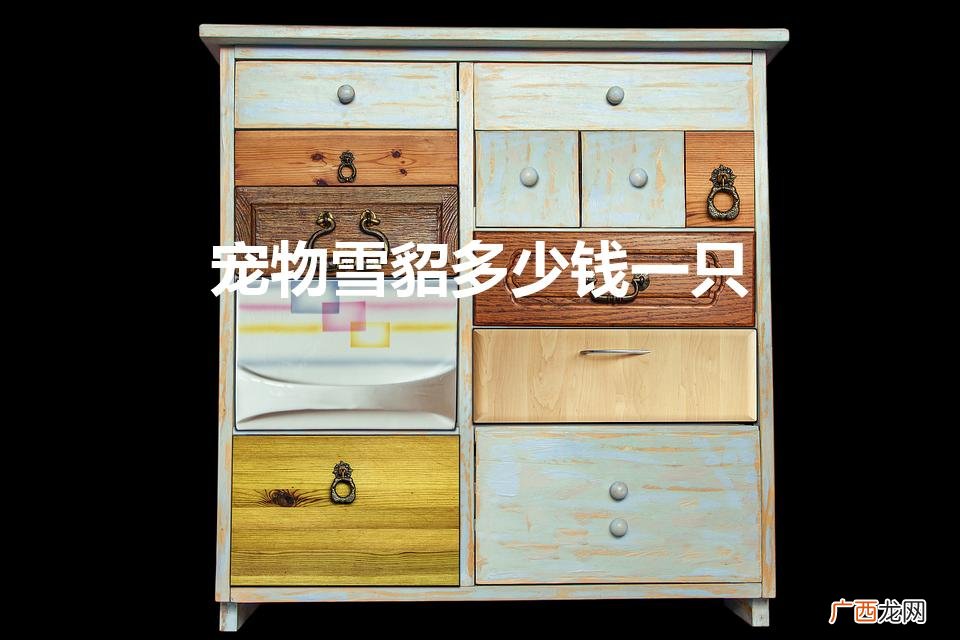 宠物雪貂多少钱一只（100元以下适合学生养的宠物)