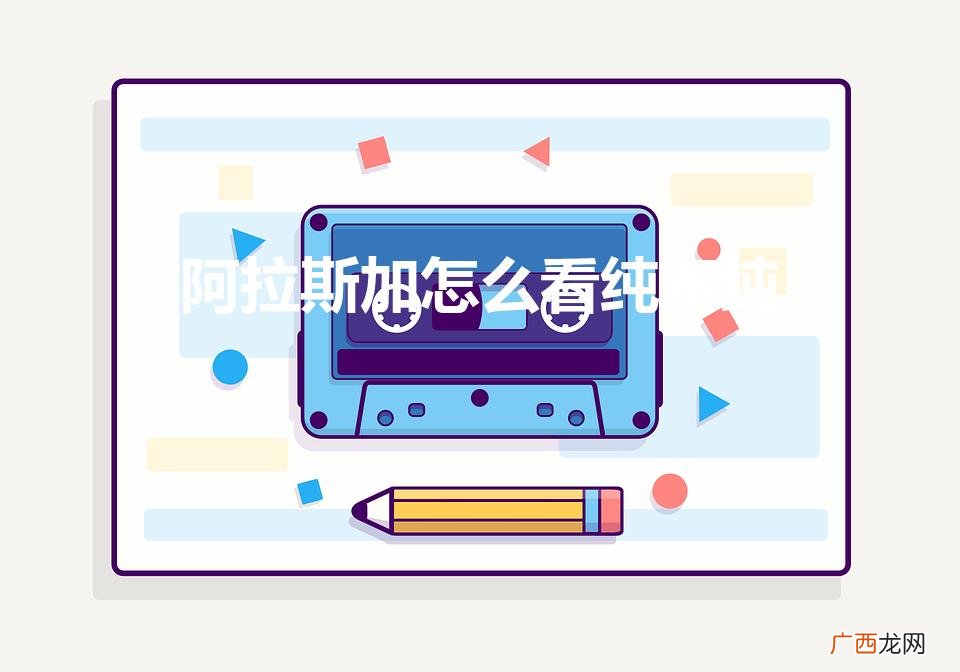 阿拉斯加怎么看纯不纯(阿拉斯加会保护主人吗)