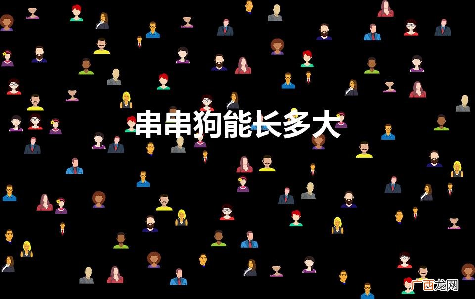 串串狗能长多大（八哥串串狗能长多大)