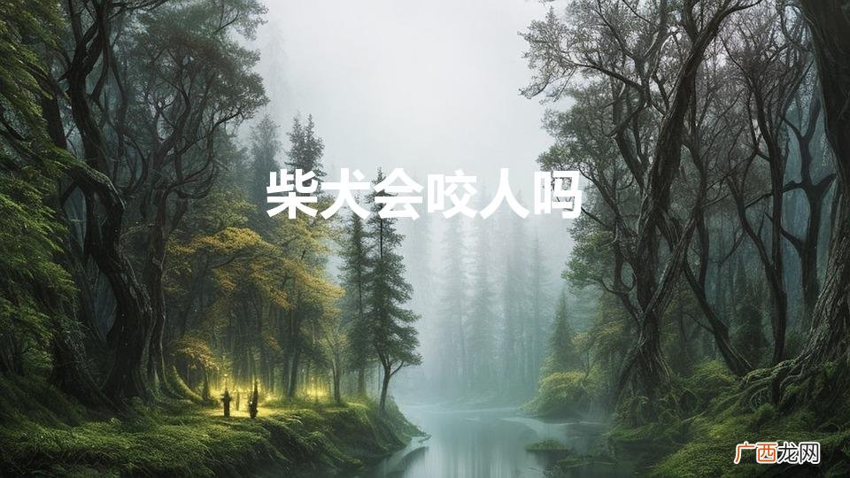 柴犬会咬人吗(曰本柴犬会咬人吗)
