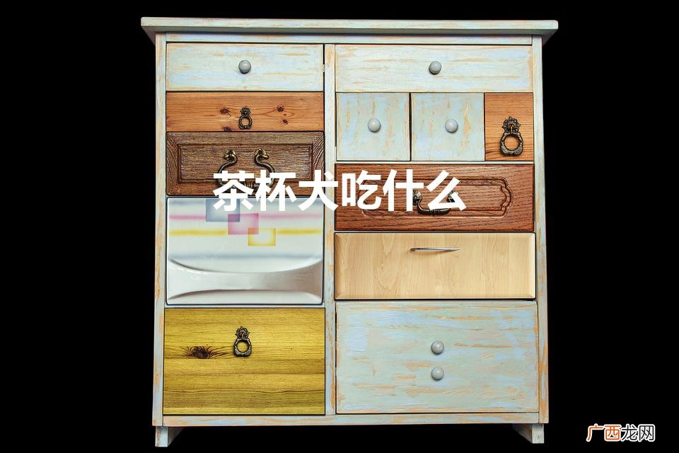 茶杯犬吃什么（茶杯犬吃什么食物)