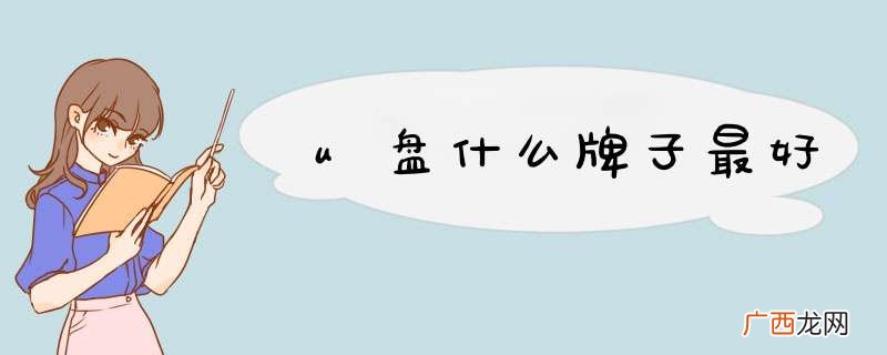 u盘什么牌子最好