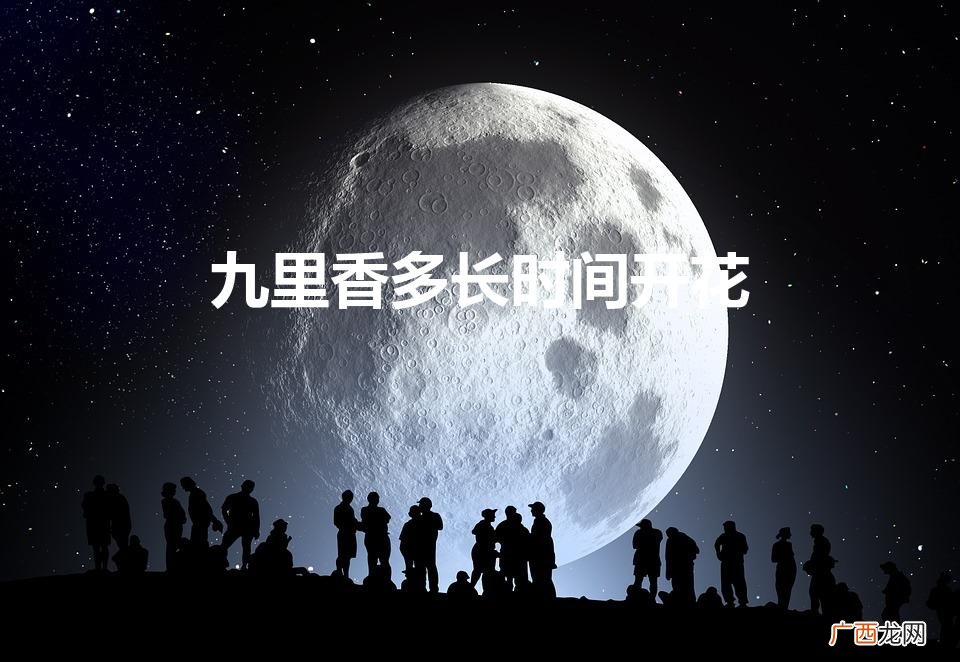 九里香多长时间开花（九里香多久开花一次)