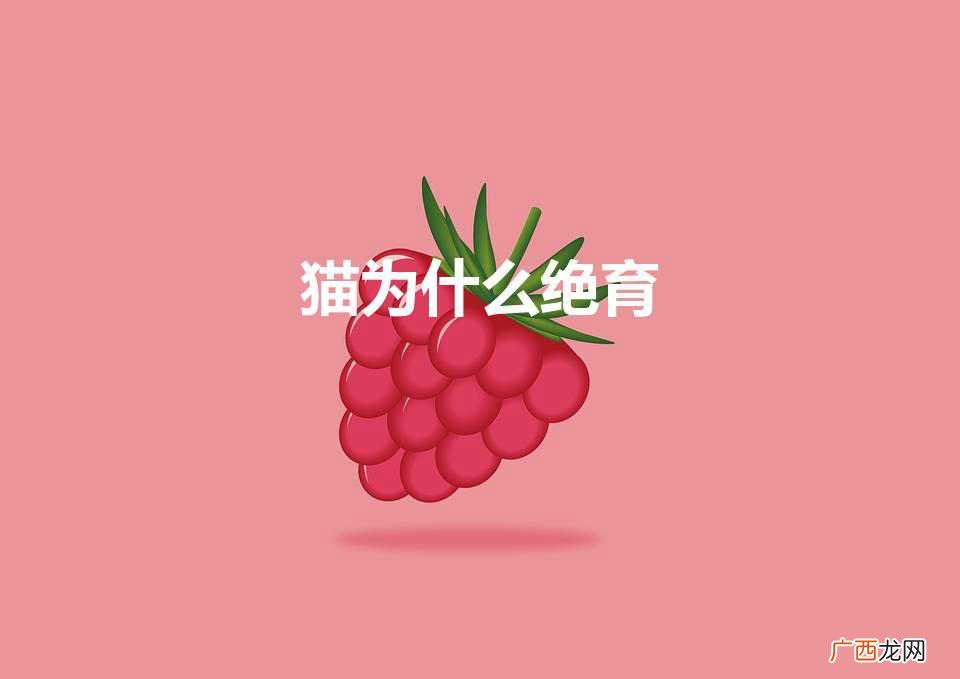 猫为什么绝育（猫为什么绝育了还会乱尿)