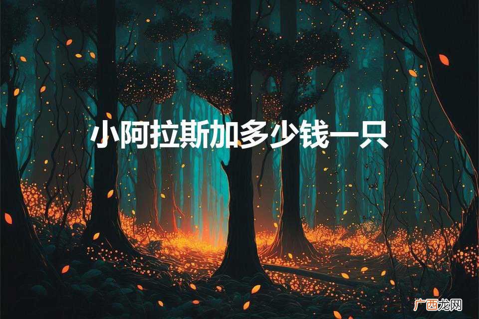 小阿拉斯加多少钱一只（小阿拉斯加多少钱一只纯种阿拉斯加犬价格)