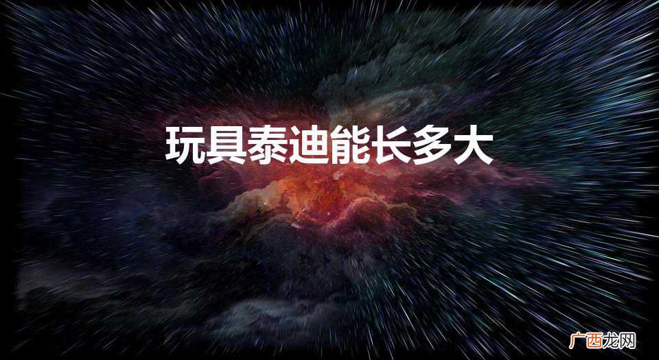 玩具泰迪能长多大（玩具泰迪身长一般多少厘米)